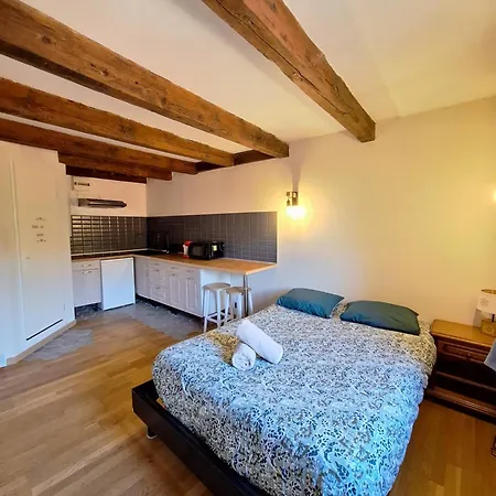 Appartement Le Du Chateau - Annecy 15 Min Alby-sur-Chéran
